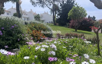 Property slide 42