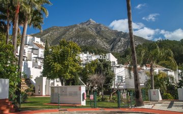 Property slide 21