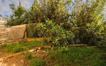 Property slide 46