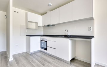 Property slide 4