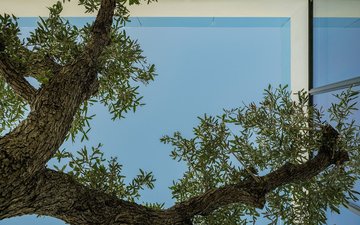 Property slide 31