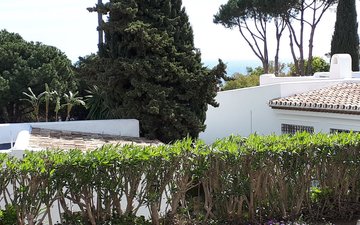 Property slide 41
