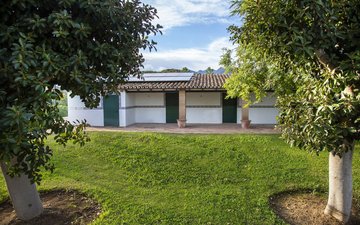 Property slide 115