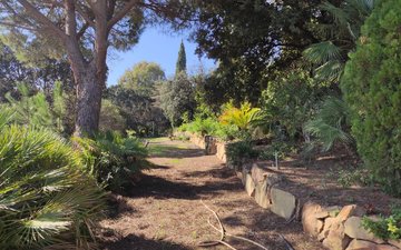 Property slide 126