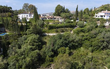 Property slide 43