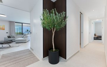 Property slide 24