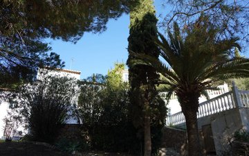 Property slide 24