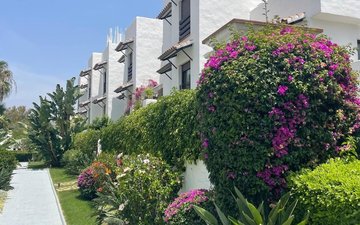 Property slide 25