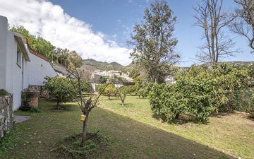 Property slide 25