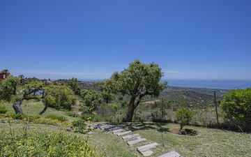 Property slide 37