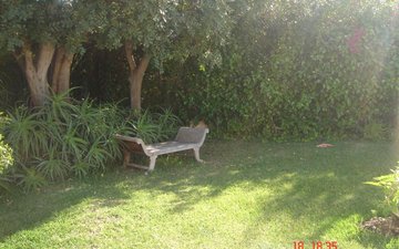 Property slide 11