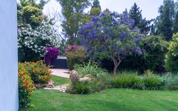 Property slide 63