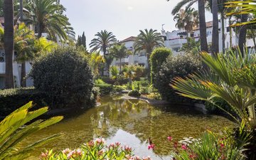 Property slide 30