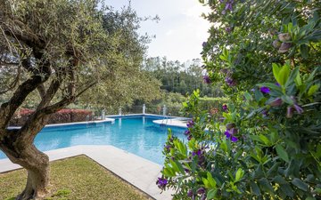 Property slide 19