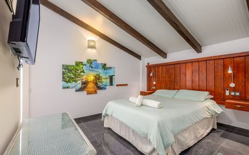 Property slide 31