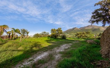 Property slide 61