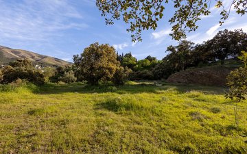Property slide 64