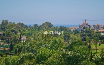 Property slide 13