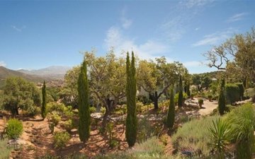 Property slide 13