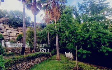 Property slide 31