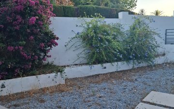 Property slide 16