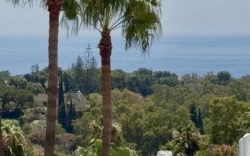 Property slide 16