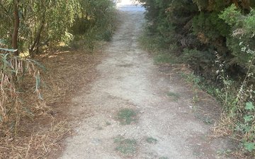 Property slide 3