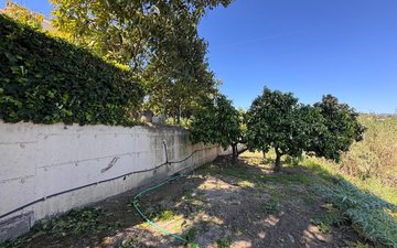Property slide 34