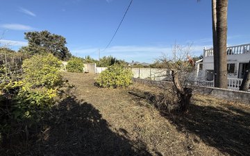 Property slide 31