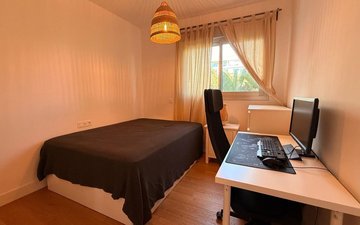 Property slide 51