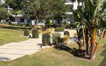 Property slide 64