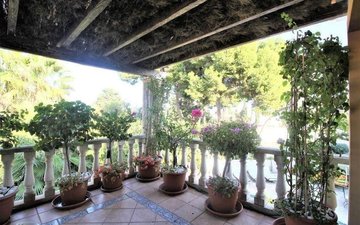 Property slide 31