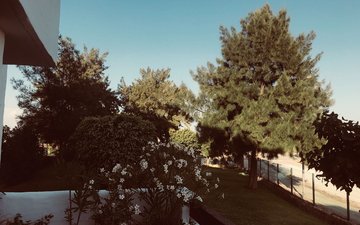 Property slide 26