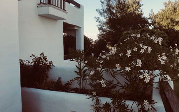 Property slide 27