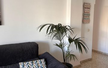 Property slide 28