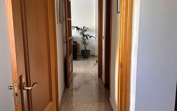 Property slide 31