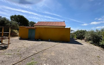 Property slide 11