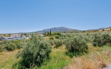 Property slide 50