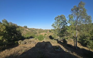 Property slide 38