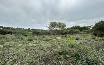 Property slide 4