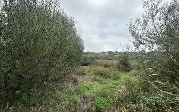 Property slide 9