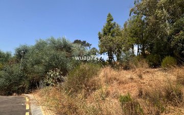 Property slide 3