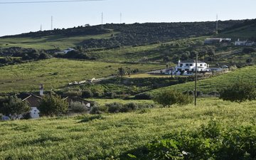 Property slide 13