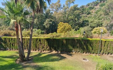 Property slide 31