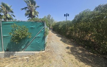 Property slide 30