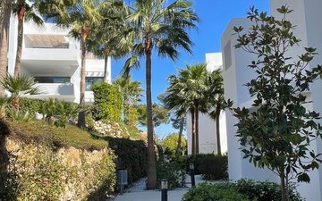 Property slide 24
