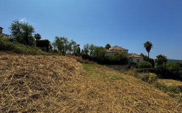 Property slide 2