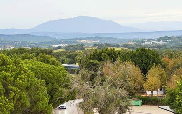 Property slide 38