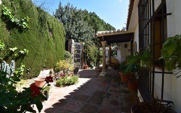 Property slide 31
