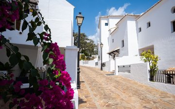 Property slide 42